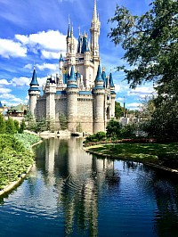 Select Disney Resort Hotels with YNARS Disney Magic